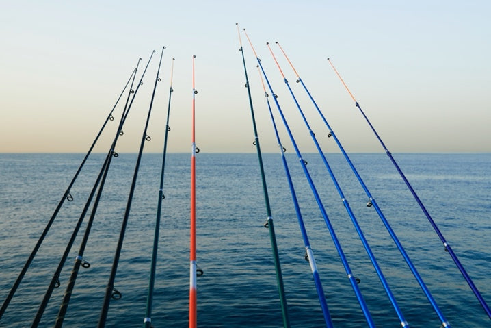 Fishing Rod Storage: How to Use All that Free Space
